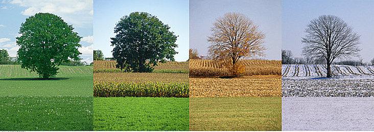 《超越善恶2》仍在早期开发阶段 被内部重启